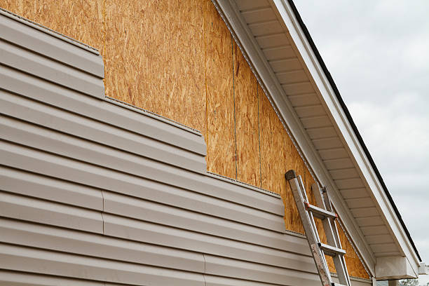 Professional Siding Repair technician working in Greenville, TX